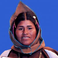 parlamentario_img